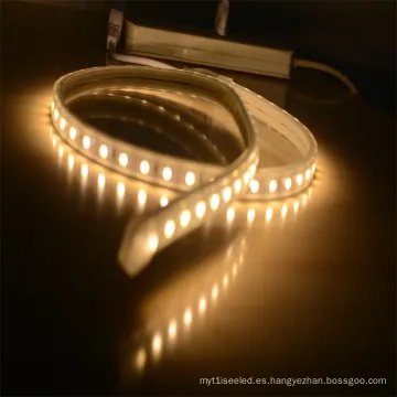 SHENZHEN Luz de decoración de LED blanca tibia de alta calidad